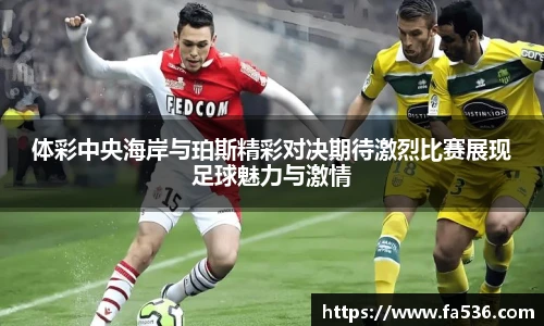 ac米兰中文官网